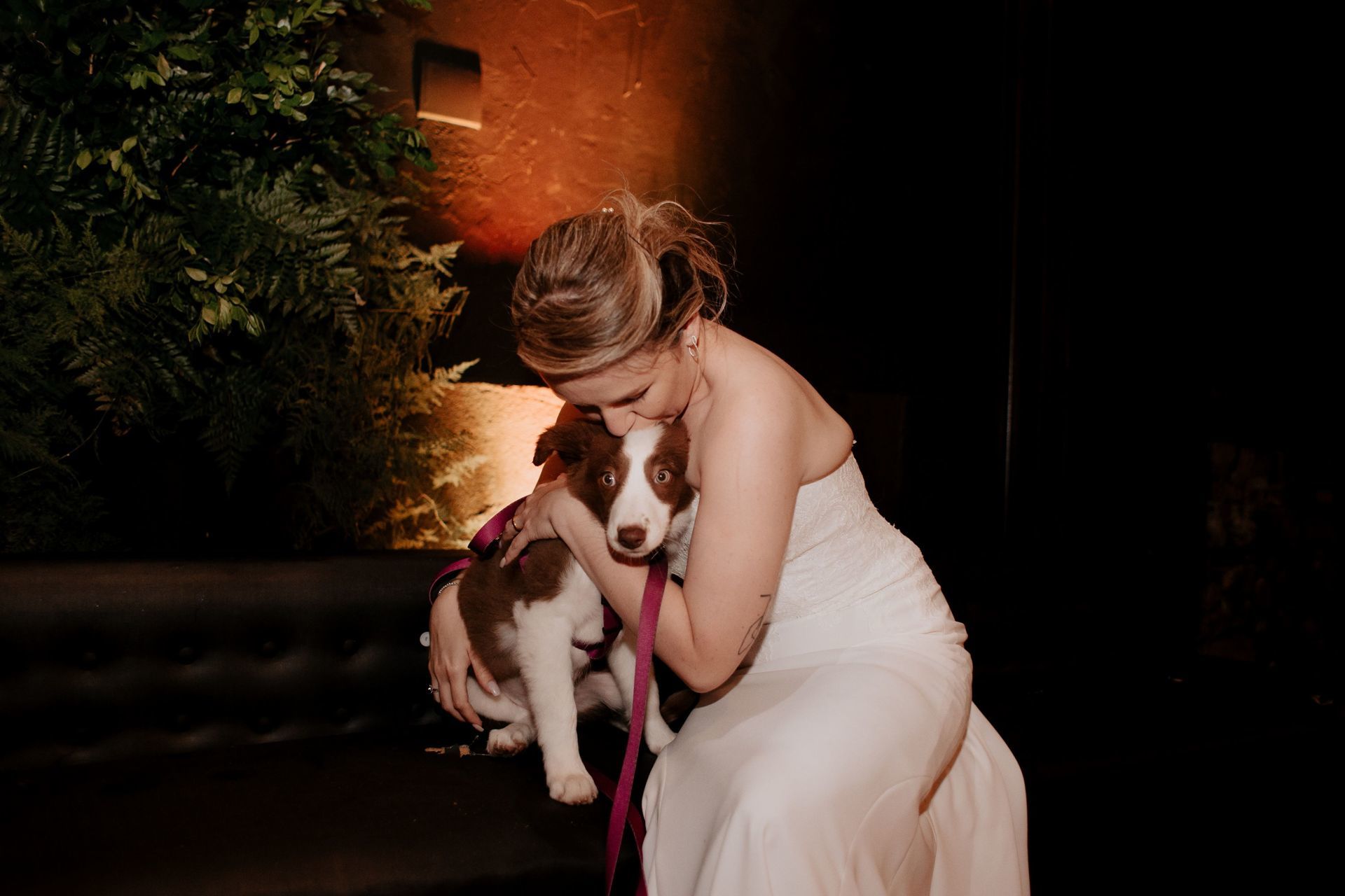 Foto Casamento no Vila dos Araçás Tami e Rogério Foto Casamento no Vila dos Araçás Tami e Rogério - Imagem 253